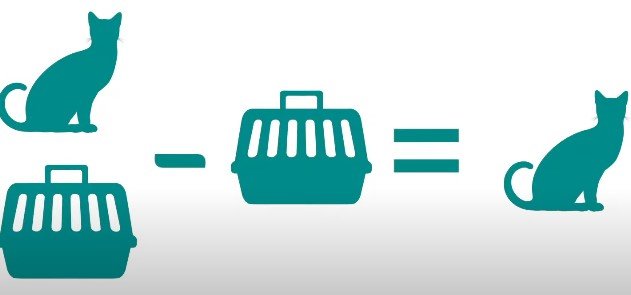 methods to weigh cat using a cat carrier